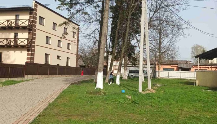 zobrazhennia_viber_2024-04-01_13-58-31-550