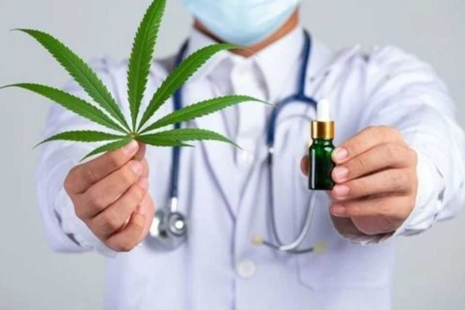 МОЗ затвердило перелік хвороб і станів, за яких призначатиметься медичний канабіс