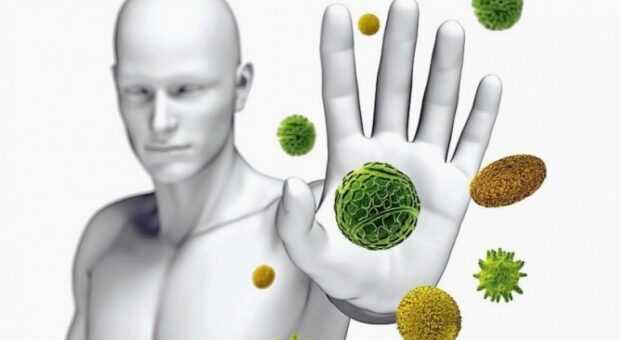 Як зміцнити імунітет перед осіннім сезоном