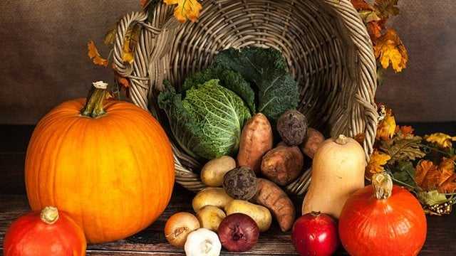 здорове харчування восени